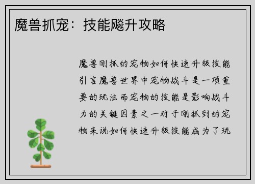 魔兽抓宠：技能飚升攻略